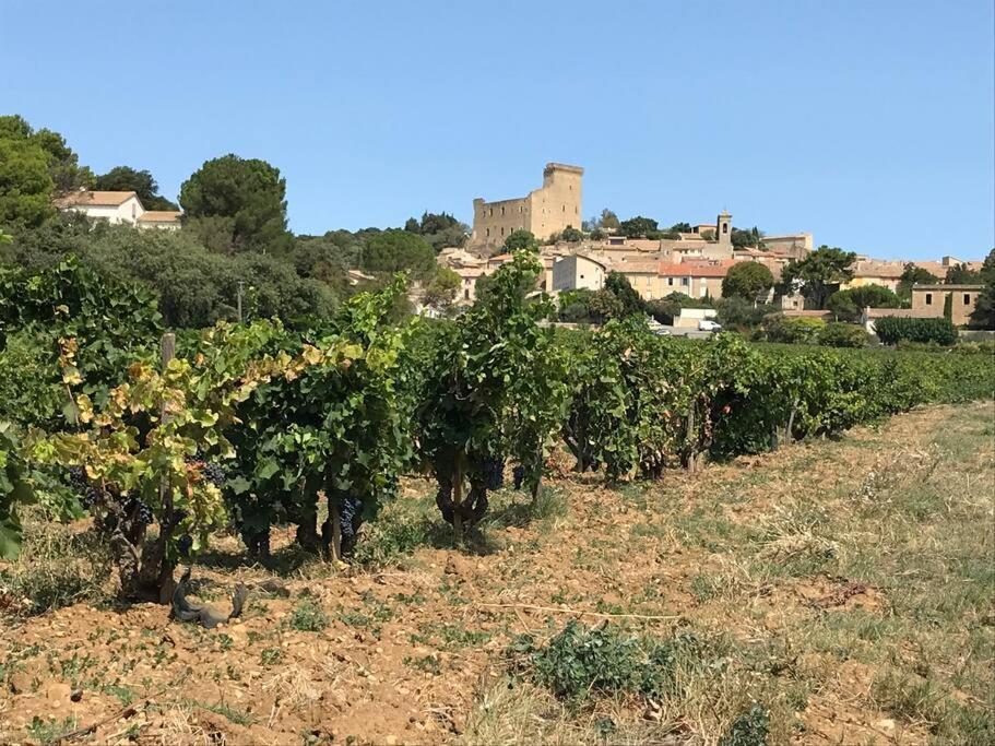Gites En B&B Le Clos De La Cerise Châteauneuf-du-Pape Exterior foto